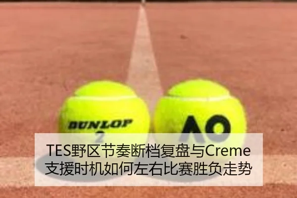 TES野区节奏断档复盘与Creme支援时机如何左右比赛胜负走势